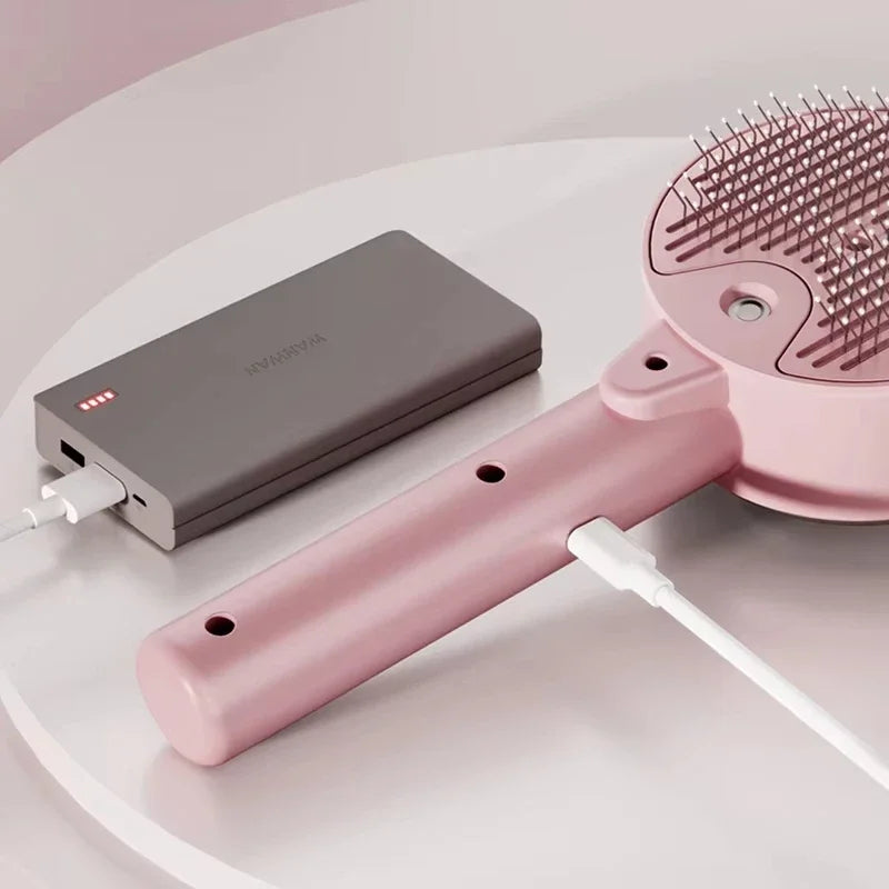 STNCY Pet Spray Massage Comb